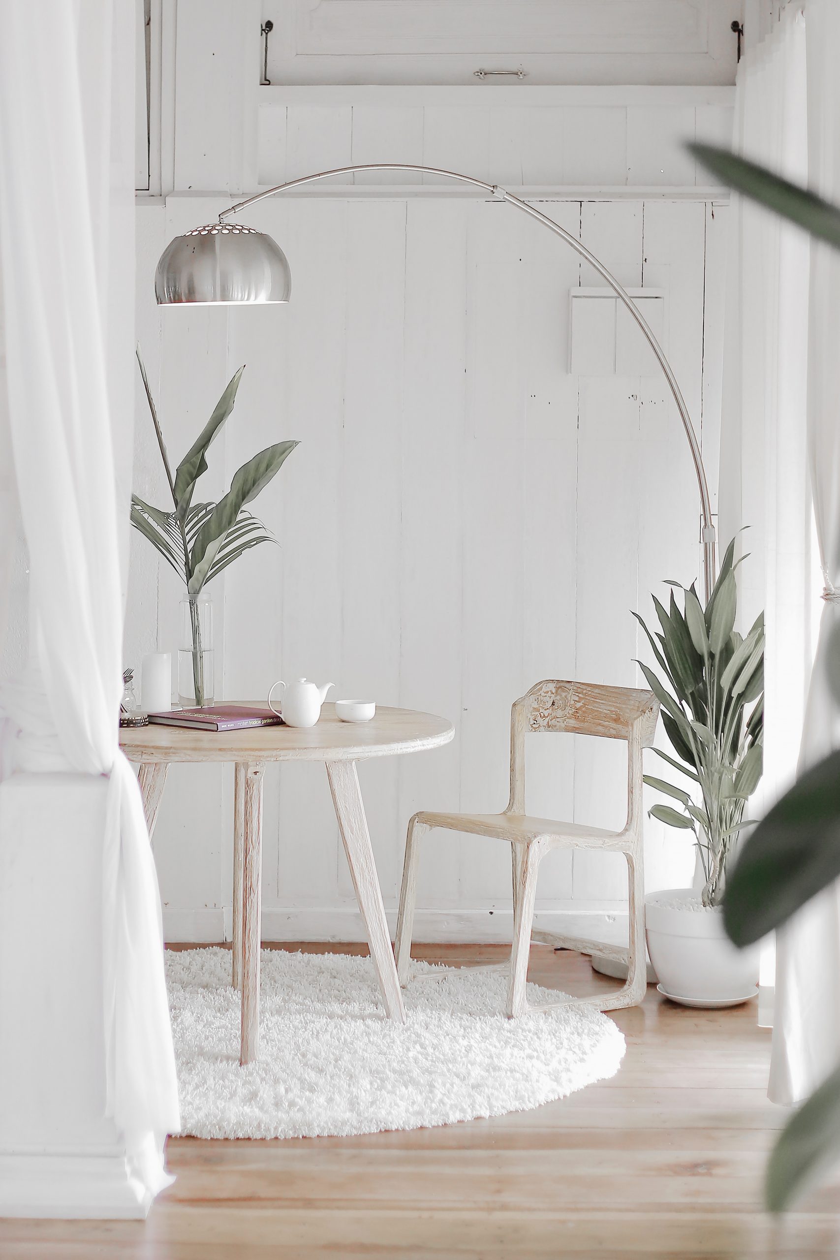 contemporary dining room with white walls, plant